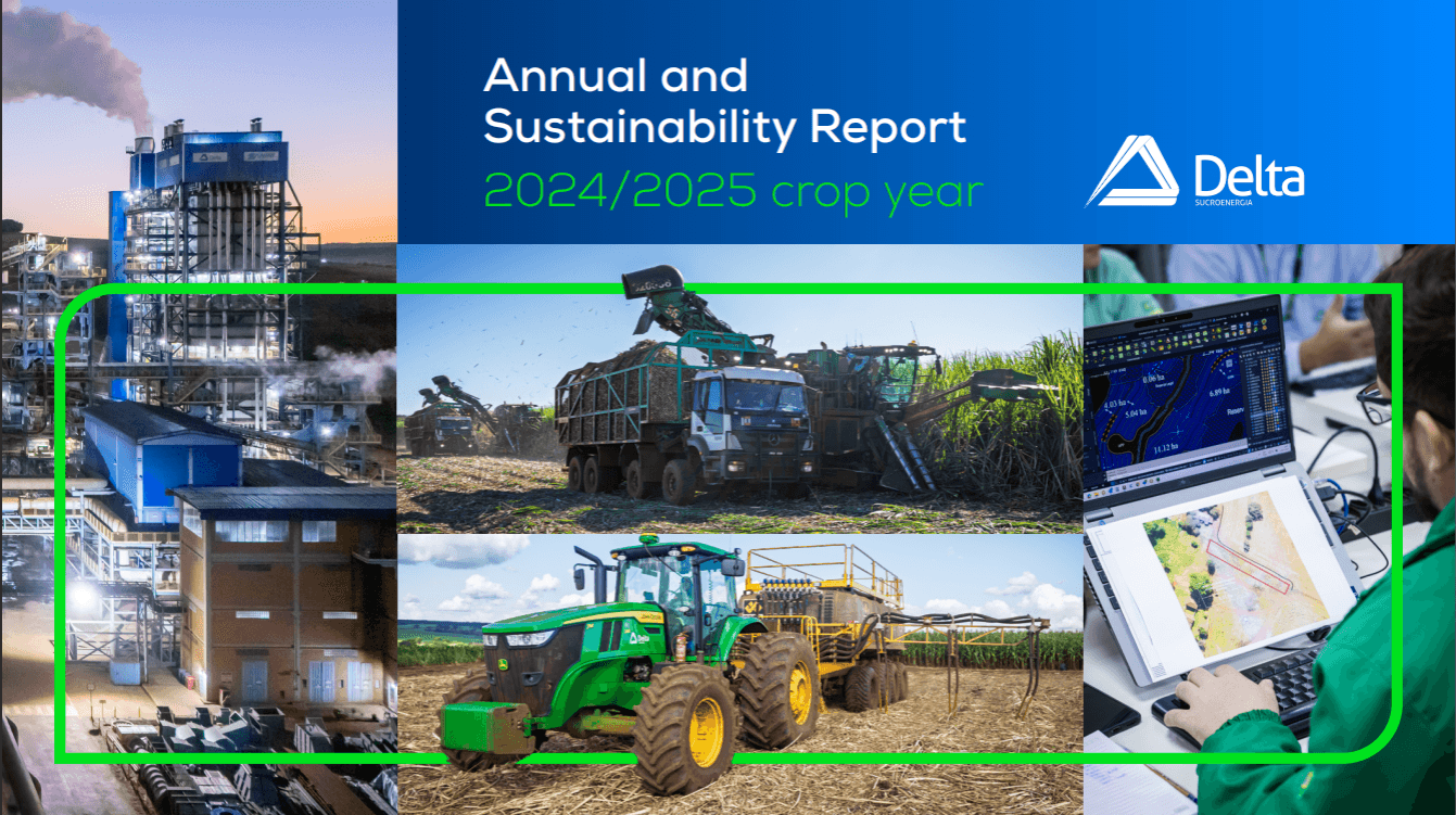 Relatório 2024/2025 - US